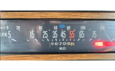 International-harvester-Scout-ii-1980-Tahitian-Red-Russet-Velour-91