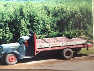 International-kb-8-lwb-hd-1949-5