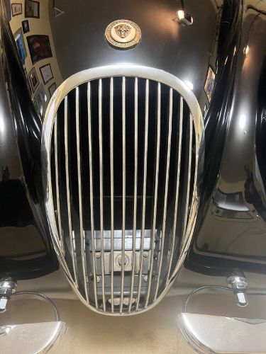 Jaguar-Other-1952-Black-13