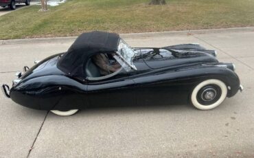 Jaguar-Other-1952-Black-14