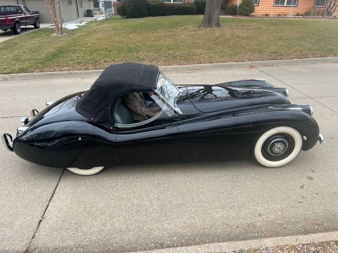 Jaguar-Other-1952-Black-14