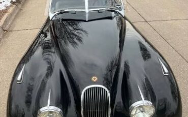 Jaguar-Other-1952-Black-16
