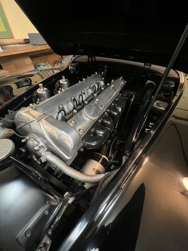 Jaguar-Other-1952-Black-3