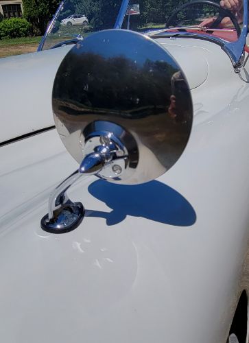 Jaguar-Other-1954-Cream-12
