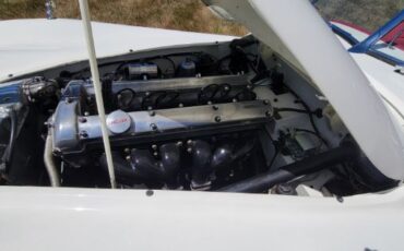 Jaguar-Other-1954-Cream-40