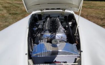 Jaguar-Other-1954-Cream-41