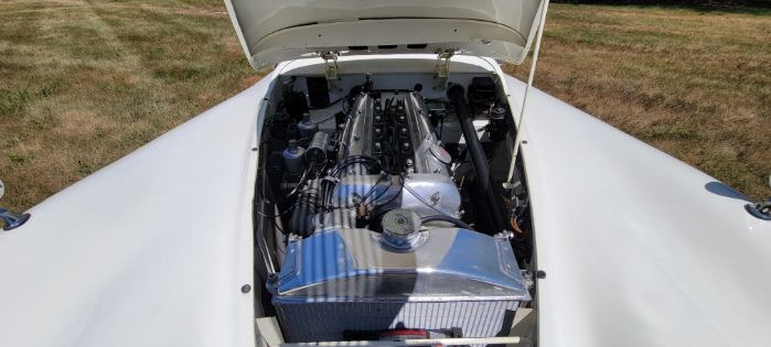 Jaguar-Other-1954-Cream-41