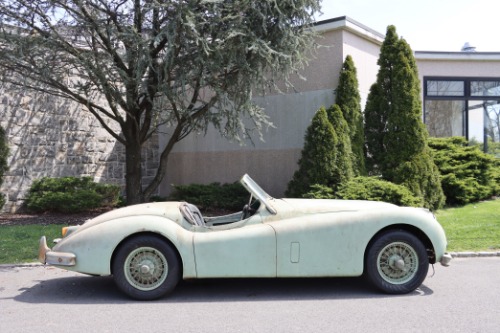 Jaguar-Other-1955-Green-Black-1