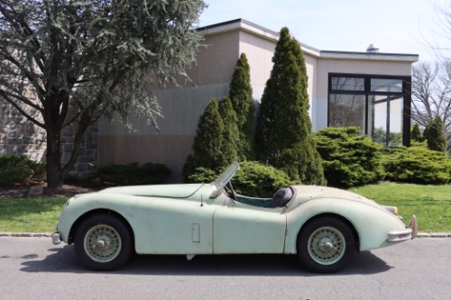 Jaguar-Other-1955-Green-Black-2