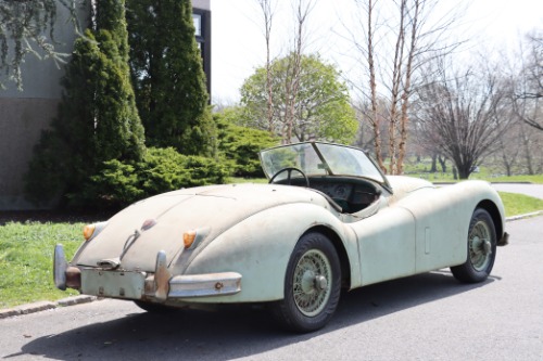 Jaguar-Other-1955-Green-Black-3