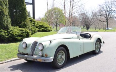 Jaguar-Other-1955-Green-Black