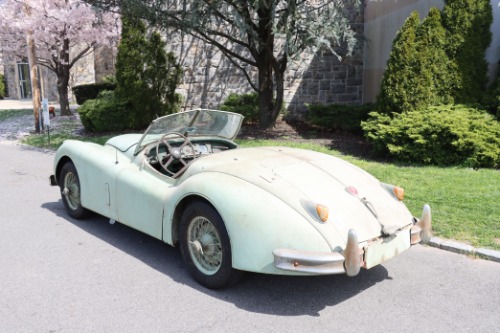 Jaguar-Other-1955-Green-Black-4