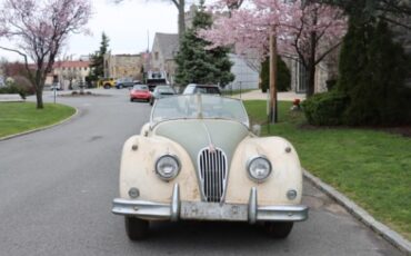 Jaguar-Other-1957-Ivory-Black-2