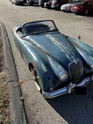 Jaguar-Other-1959-1