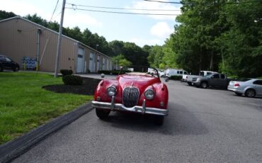 Jaguar-Other-1959-13