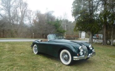 Jaguar-Other-1959-2