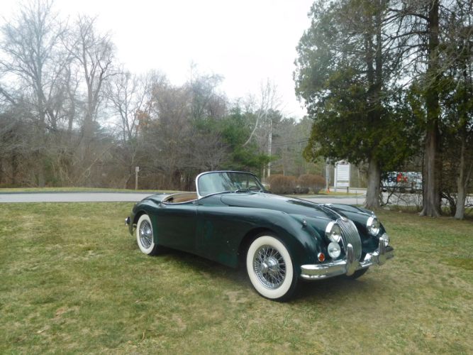 Jaguar-Other-1959-2