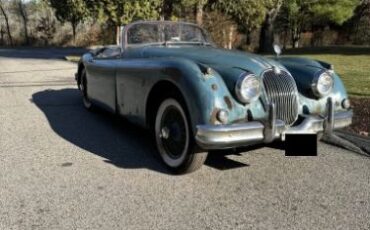Jaguar-Other-1959-2