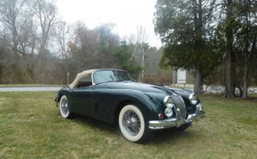 Jaguar-Other-1959