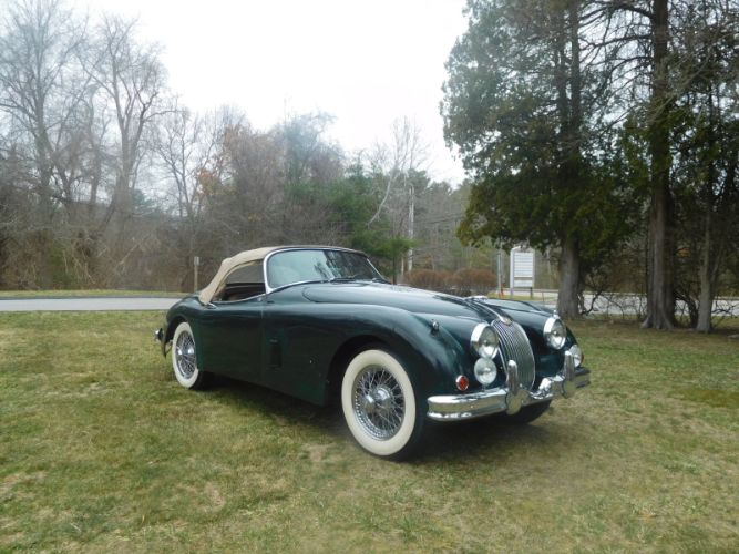 Jaguar-Other-1959