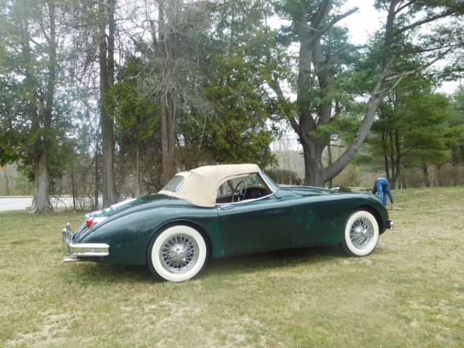 Jaguar-Other-1959-3