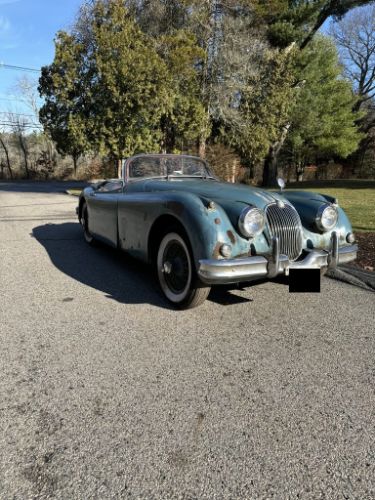 Jaguar-Other-1959-4