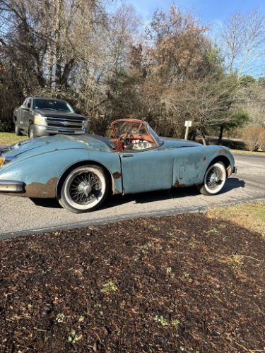 Jaguar-Other-1959-6