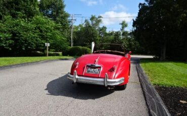 Jaguar-Other-1959-9