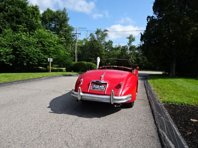 Jaguar-Other-1959-9