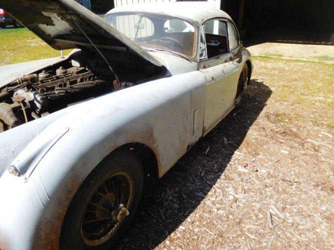 Jaguar-Other-1959-Mist-Gray-Red-15