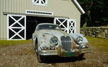 Jaguar-Other-1959-Mist-Gray-Red-4