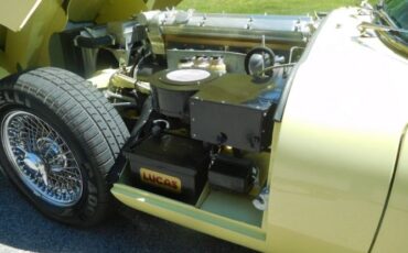 Jaguar-Other-1962-Primrose-Yellow-Black-5