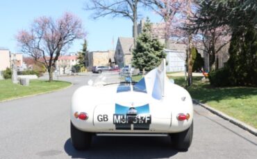 Jaguar-Other-1967-White-Black-8
