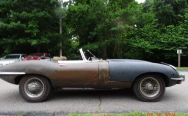 Jaguar-Other-1969-Brown-Tan-6