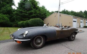 Jaguar-Other-1969-Brown-Tan-8
