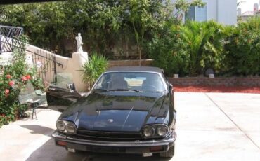 Jaguar-Other-1989-Black-1