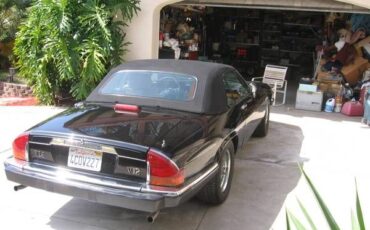 Jaguar-Other-1989-Black