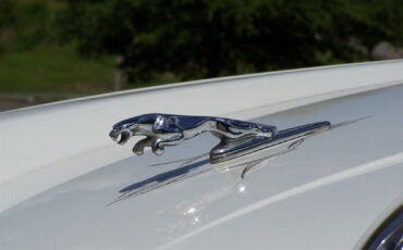 Jaguar-XJ-1989-Convertible-9