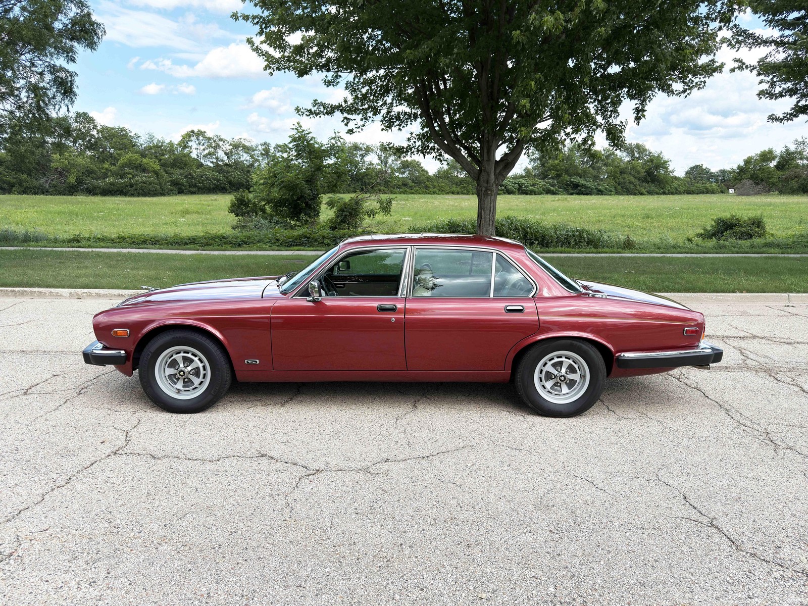Jaguar-XJ-6-Series-III-1987-16