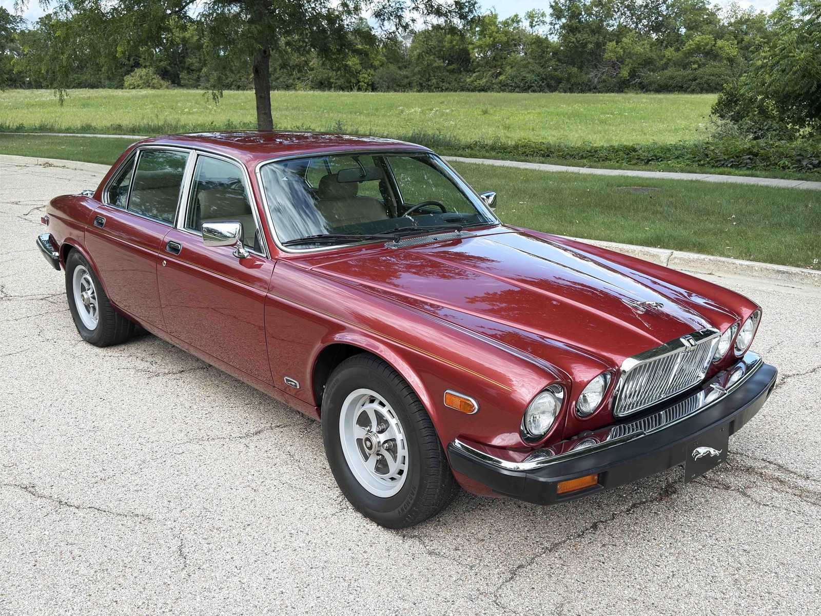 Jaguar-XJ-6-Series-III-1987-6