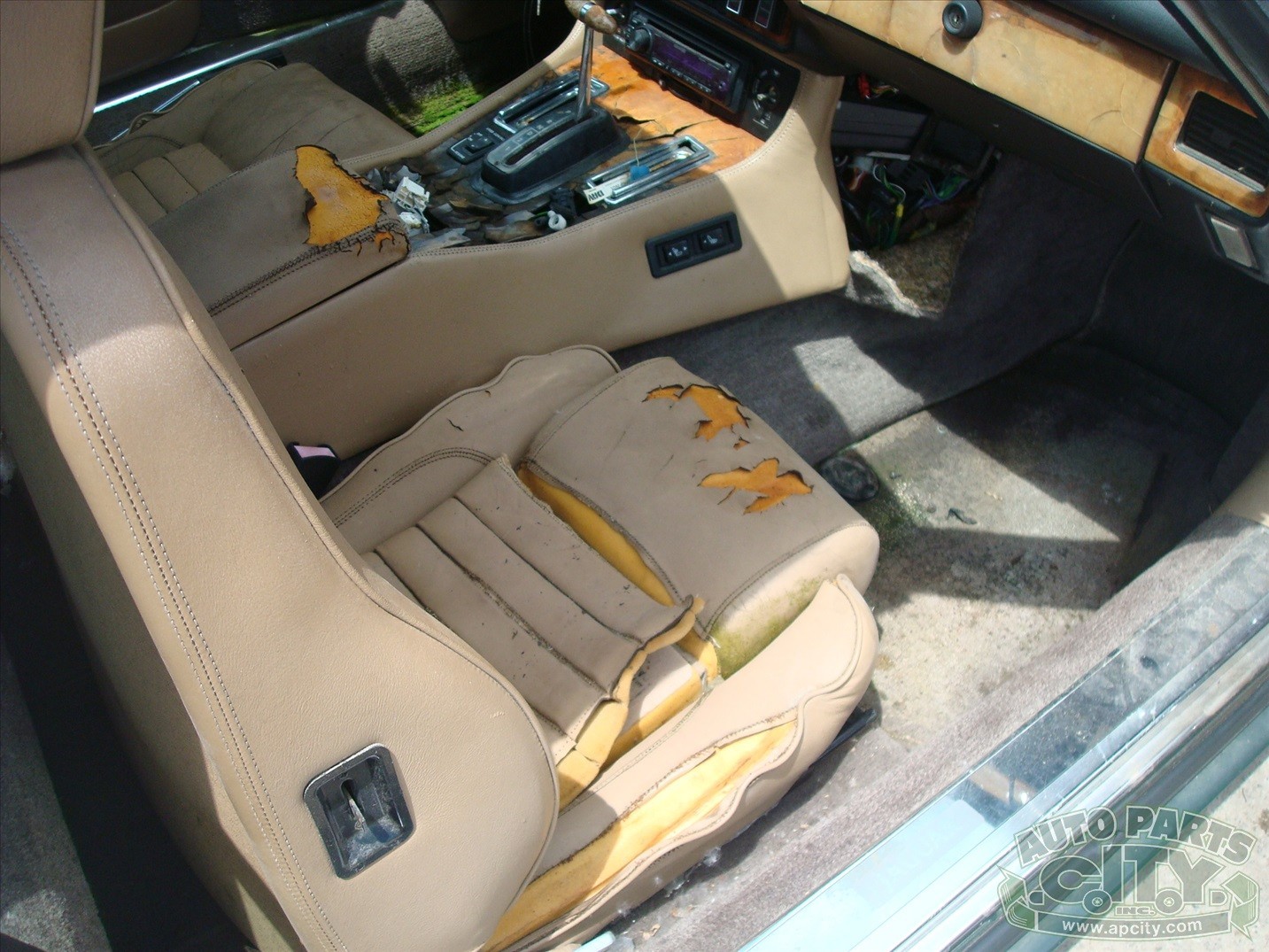 Jaguar-XJS-1989-Convertible-12