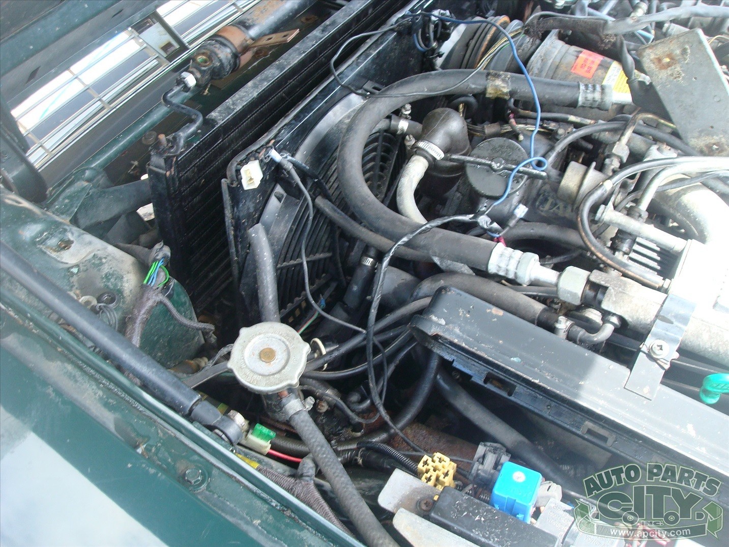 Jaguar-XJS-1989-Convertible-15