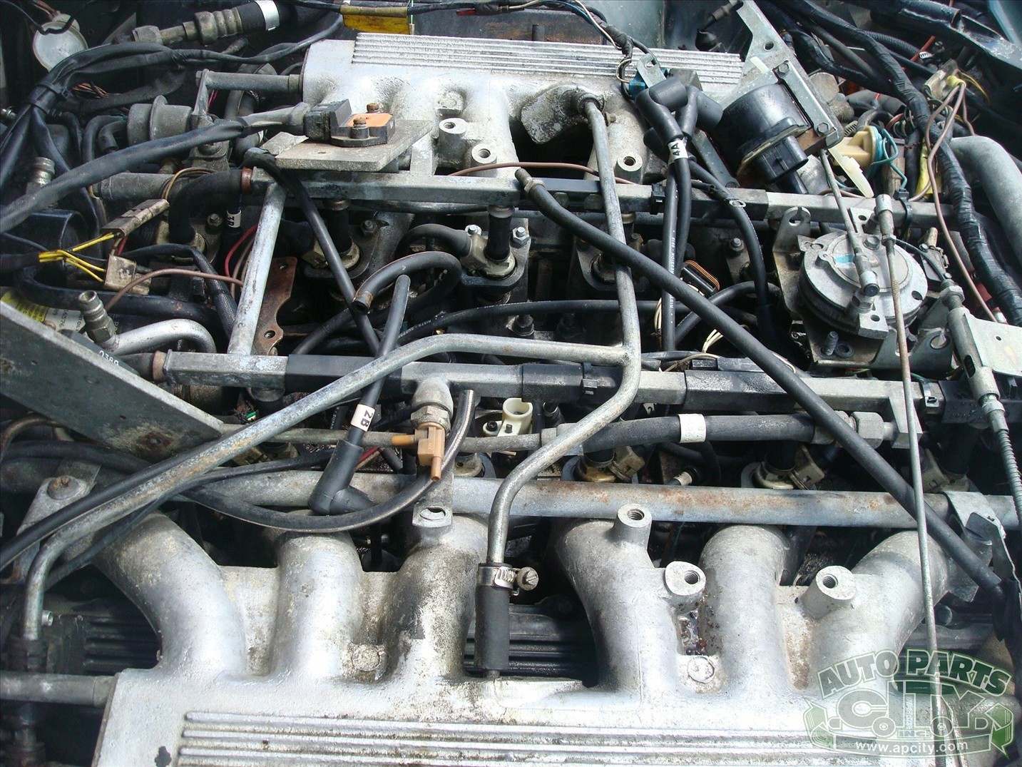 Jaguar-XJS-1989-Convertible-19