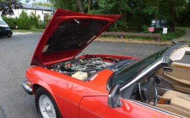 Jaguar-XJS-1990-Convertible-19