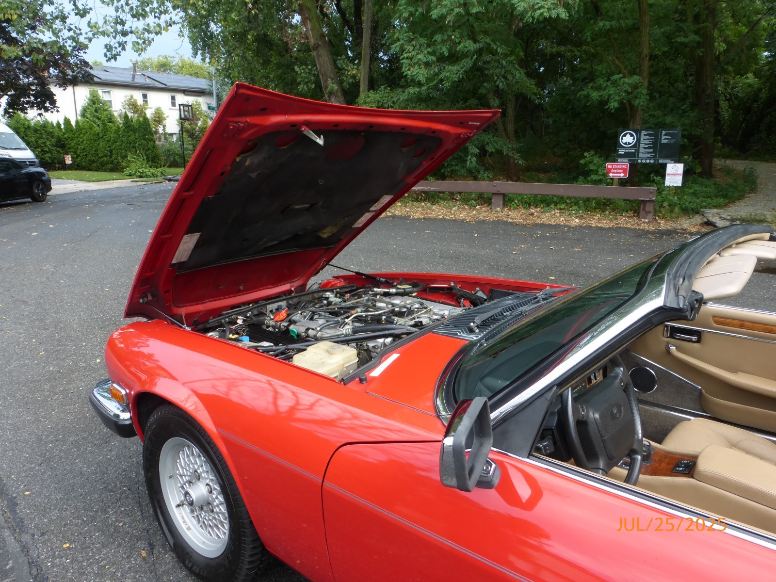 Jaguar-XJS-1990-Convertible-19