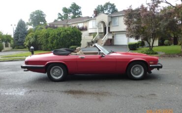 Jaguar-XJS-1990-Convertible-3