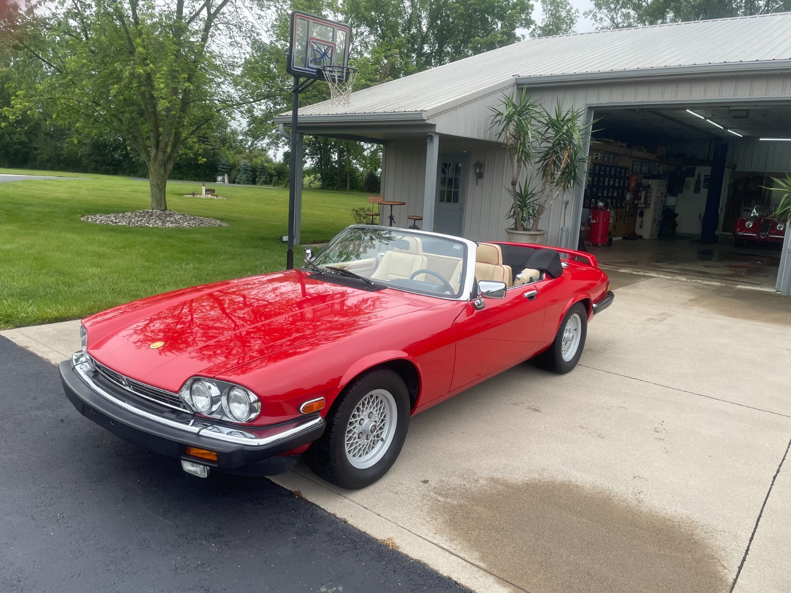 Jaguar XJS 1991 Convertible
