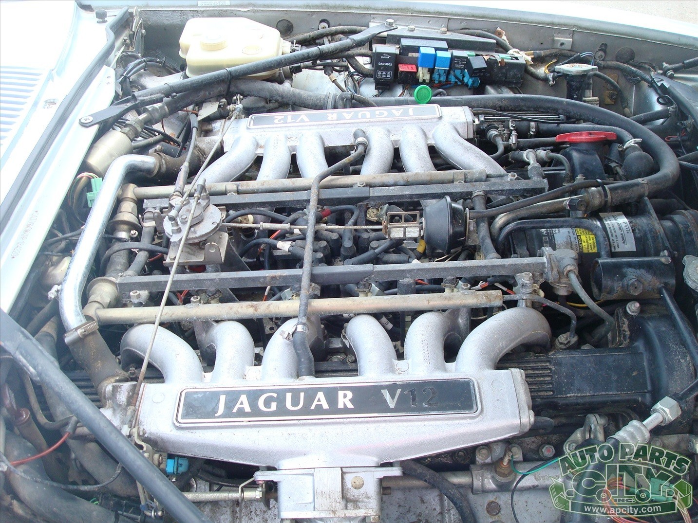 Jaguar-XJS-1992-Convertible-16