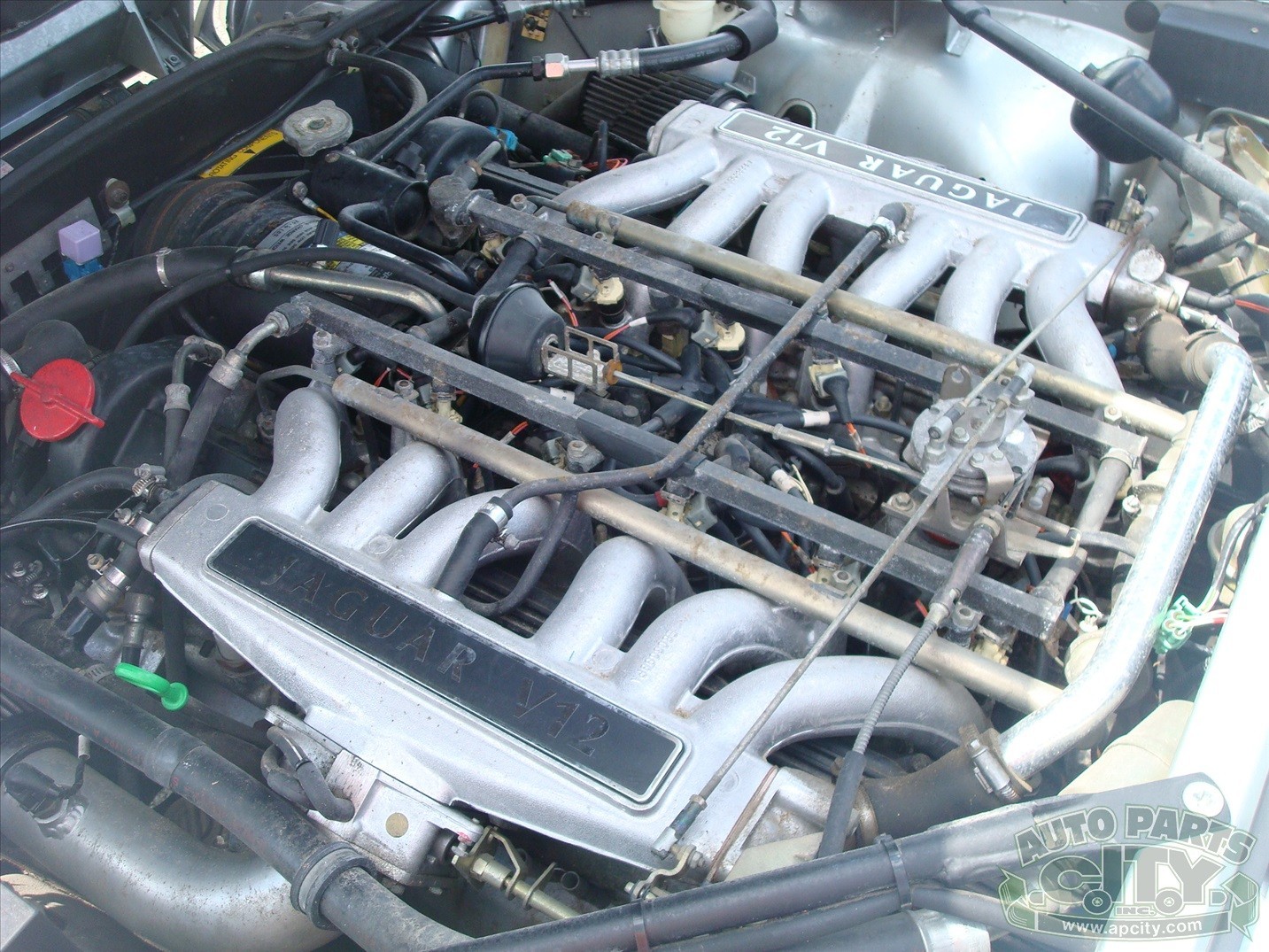Jaguar-XJS-1992-Convertible-4
