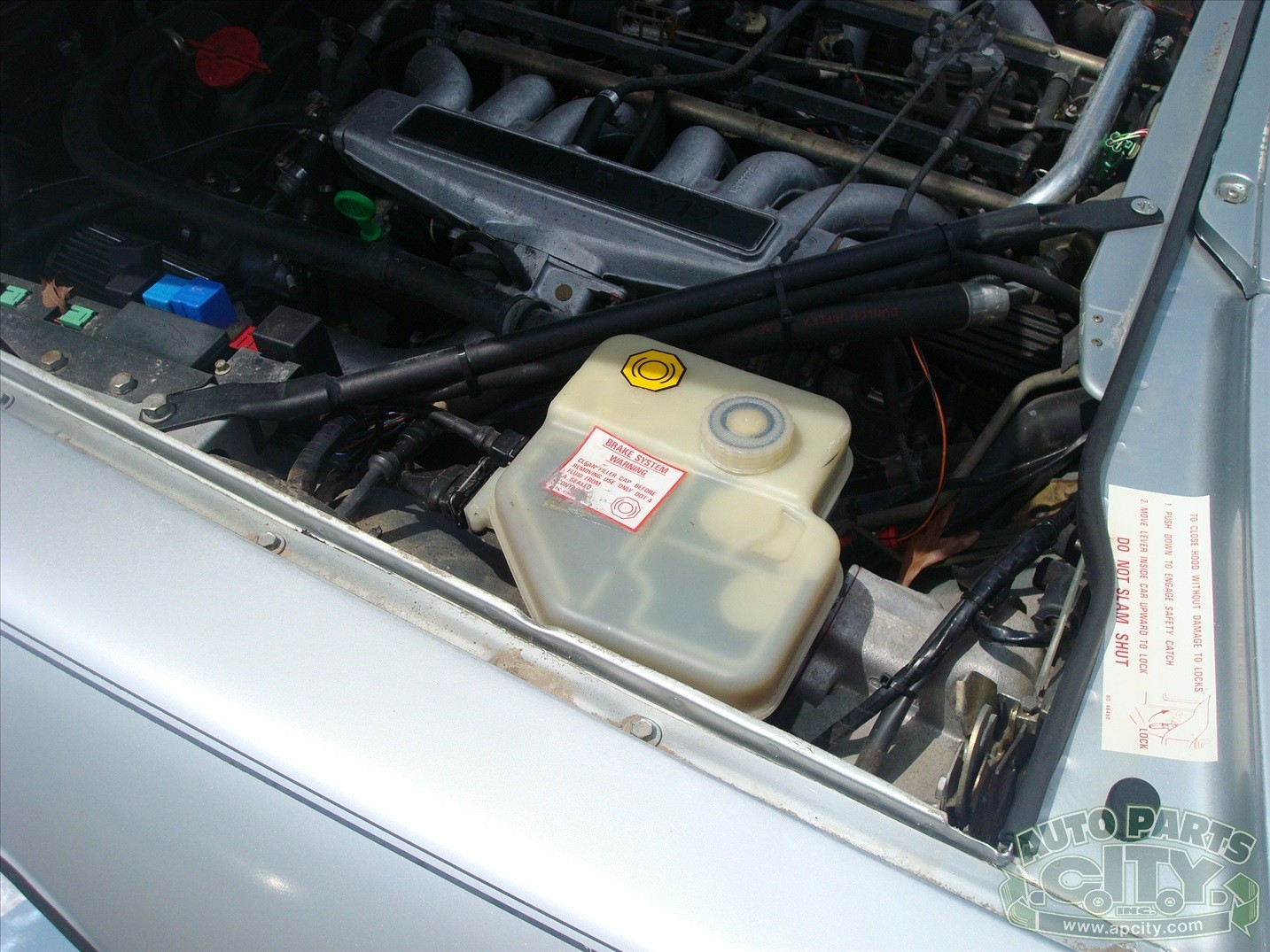 Jaguar-XJS-1992-Convertible-6